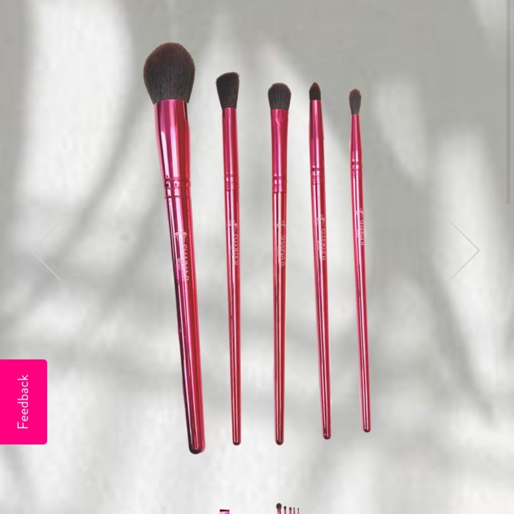 Shaina b Miami nwt brushes